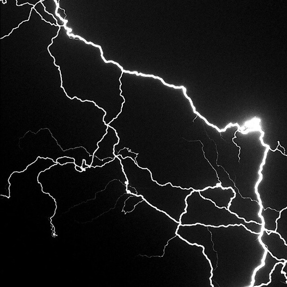 Meet your Posher, Ayaan - Picture 1 of 1